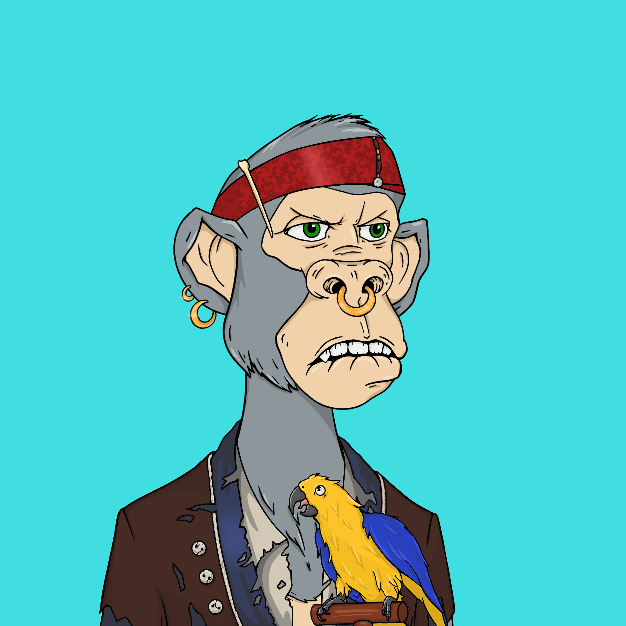 NFT Monkey Arts - Collection Guide: Bored Ape Pirates