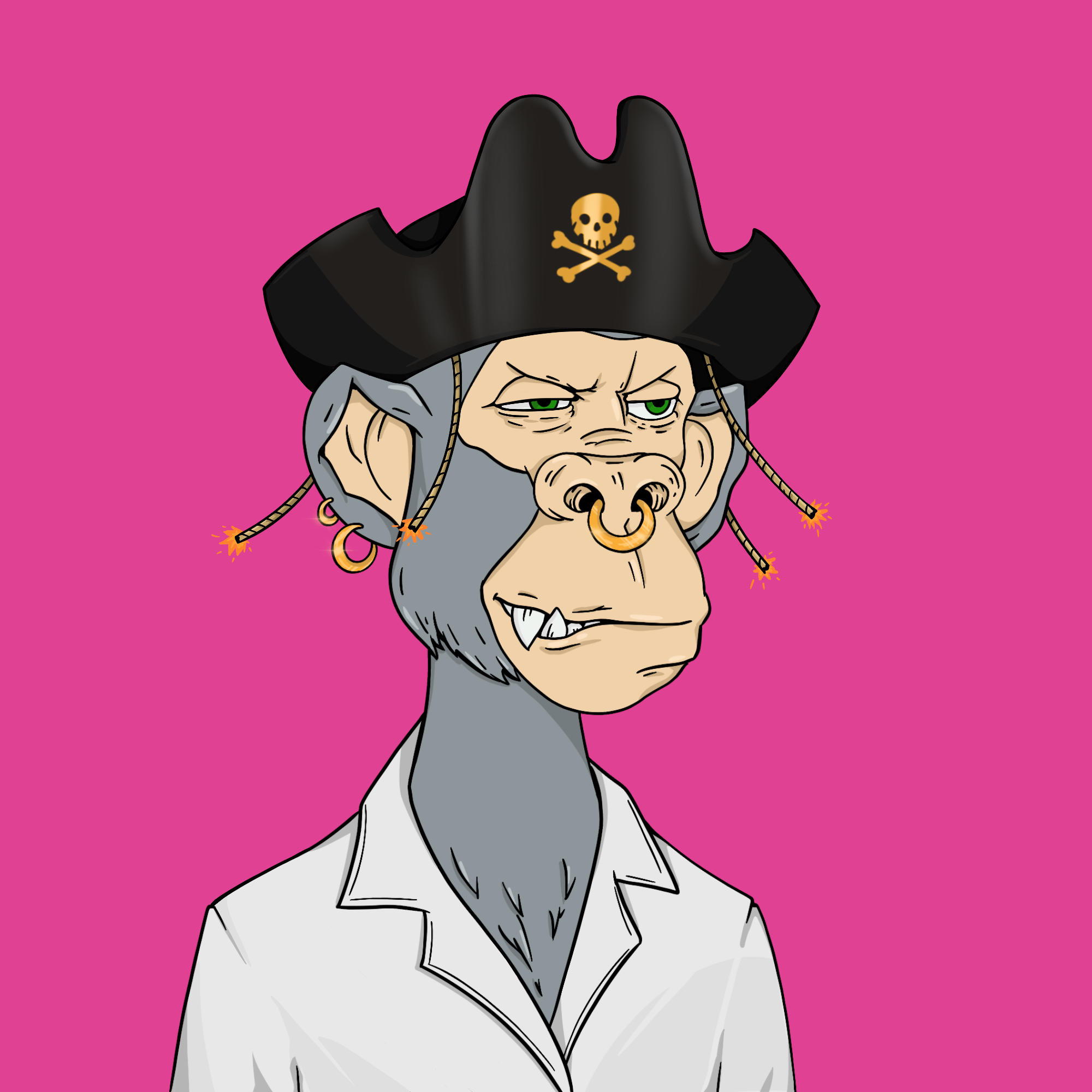 NFT Monkey Arts - Collection Guide: Bored Ape Pirates